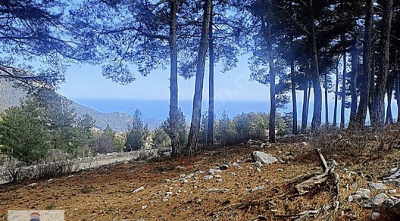 Satılık 3